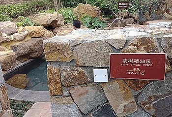 美林湖温泉第 15 张图片