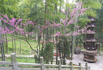 安吉余村荷花山峡谷漂流第 16 张图片