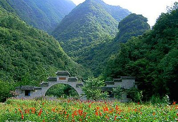 野花谷第 6 张图片