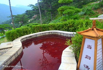 泰山温泉城第 5 张图片