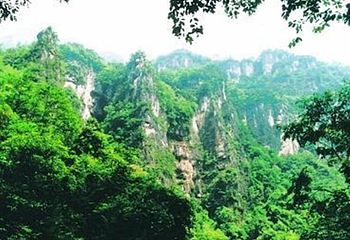 野花谷第 8 张图片