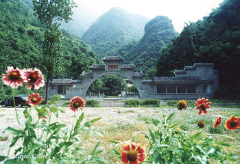 野花谷第 9 张图片