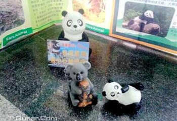 河南省体中心熊猫艺术展第 6 张图片