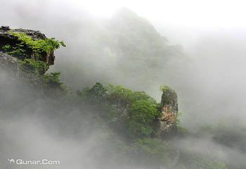 蟒河生态旅游区第 33 张图片