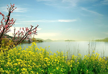 南北湖景区第 8 张图片