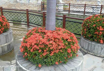 三亚国际电音节第 13 张图片