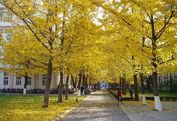 北京科技大学第 3 张图片