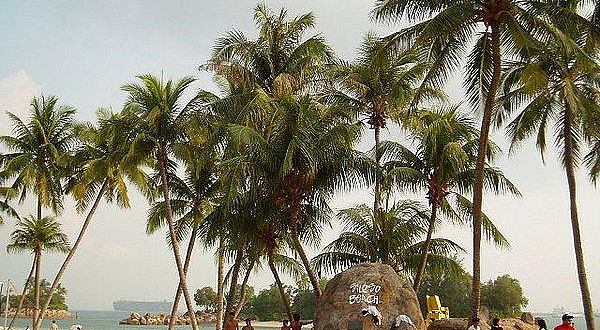 拉扎鲁斯岛和姊妹岛