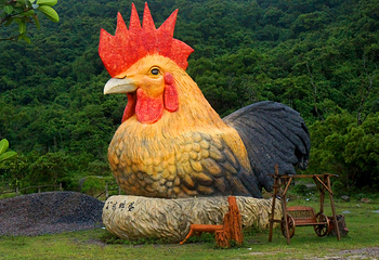 放鸡岛生态旅游国际度假区第 9 张图片