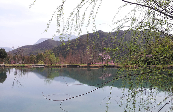 c安吉荷花山漂流电子票(短信验证,快速入园)