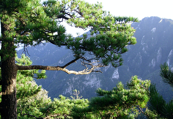 木札岭旅游区第 5 张图片