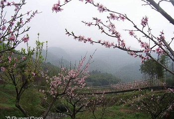 安吉余村荷花山峡谷漂流第 3 张图片