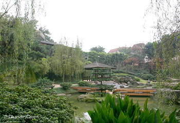 鹅岭公园第 158 张图片