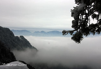 天目山自然保护区第 33 张图片