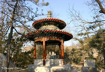 北京宋庆龄故居第 17 张图片