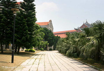 厦门大学(思明校区)第 65 张图片