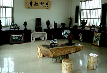 龙川盆景艺苑第 4 张图片