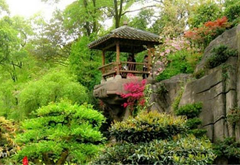 重庆南山植物园第 13 张图片