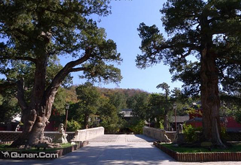 大觉寺第 10 张图片