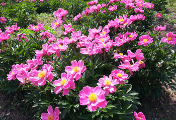 安吉余村荷花山峡谷漂流第 13 张图片