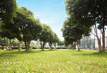 象山森林公园第 4 张图片