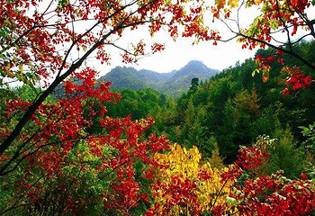 木札岭旅游区第 6 张图片