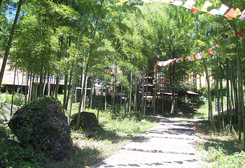 安吉余村荷花山峡谷漂流第 4 张图片