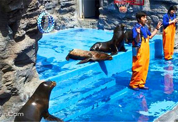 丽水Aqua Planet水族馆第 17 张图片