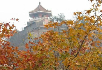 百望山森林公园第 7 张图片