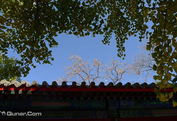 大觉寺第 6 张图片