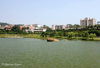 厦门大学(思明校区)第 45 张图片