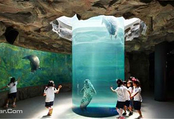 丽水Aqua Planet水族馆第 19 张图片