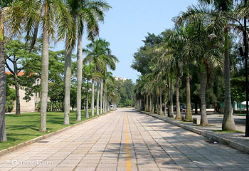 厦门大学(思明校区)第 36 张图片