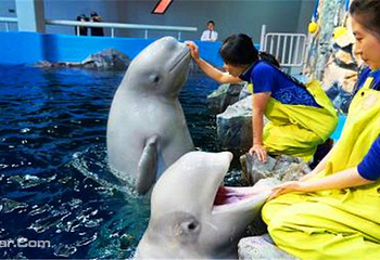 丽水Aqua Planet水族馆第 20 张图片