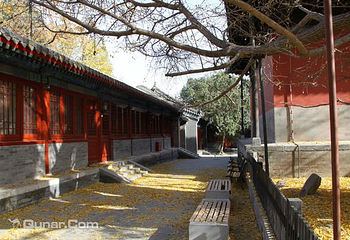 大觉寺第 12 张图片