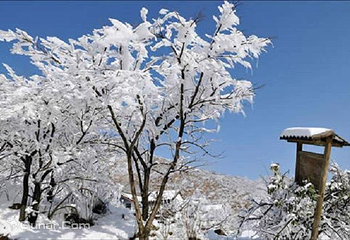 大围山国家森林公园第 20 张图片