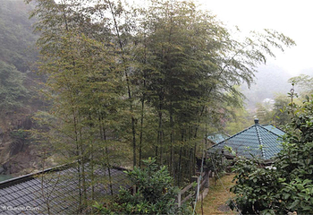 西雁度假村第 1 张图片