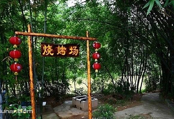 凤凰谷景区第 7 张图片