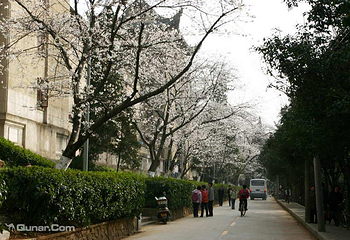武汉大学第 2 张图片