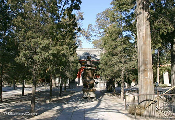清真法源寺第 8 张图片