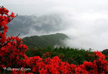 南岳衡山风景名胜区第 103 张图片
