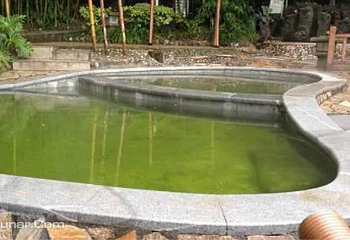 花水湾樱花温泉第 5 张图片