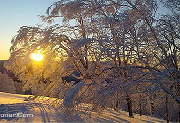雪乡狗熊岭景区第 2 张图片