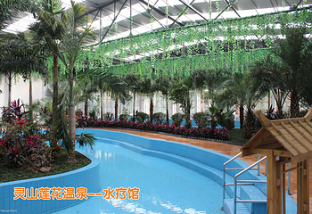 灵山莲花温泉度假区第 22 张图片