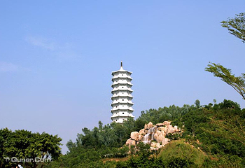 深圳国际园林花卉博览园第 83 张图片