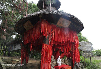 窦圌山景区第 47 张图片