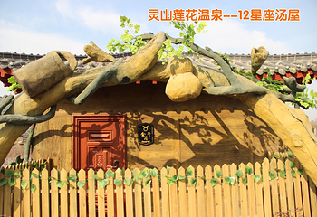灵山莲花温泉度假区第 33 张图片