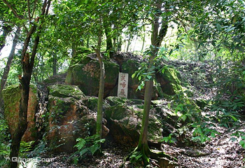 岳麓山第 44 张图片
