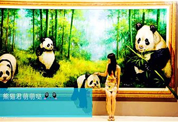 昆明3D错觉魔相馆第 5 张图片