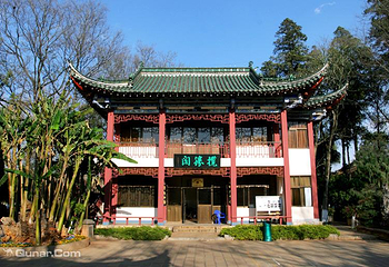 大观公园第 15 张图片